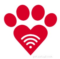 Top 9 Pet Telemedicine Services of 2026 – Expert Guide & Comparison