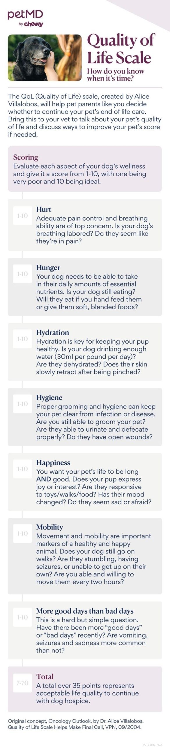 7 Signs a Dog Is Dying and How to Provide Compassionate Care