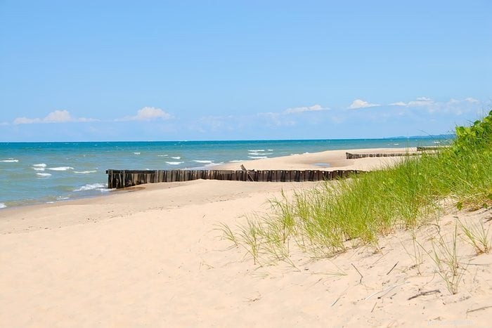 Top 15 Dog-Friendly Beaches in the U.S. You’ll Love