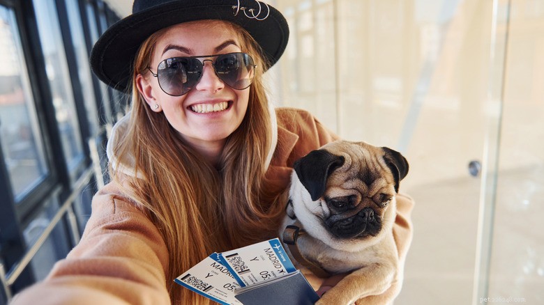 Pug Misinterprets Parents Packing for Trip, Then Gets a Delightful Surprise