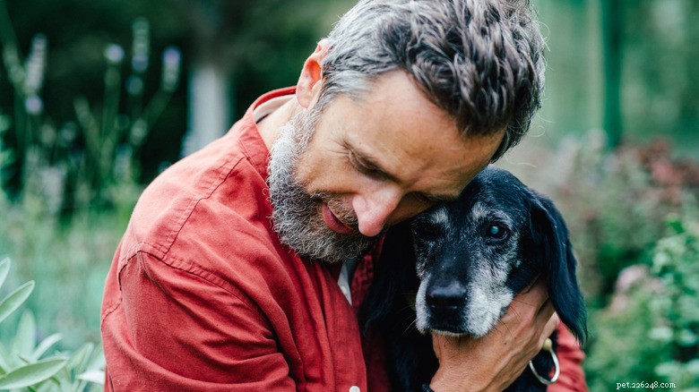 15‑Year‑Old Yorkie‑Pomeranian Mix Rises at the Sound of One Simple Phrase (Not ‘Treat’)