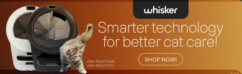 How to Litter‑Train a Kitten in 5 Simple Steps