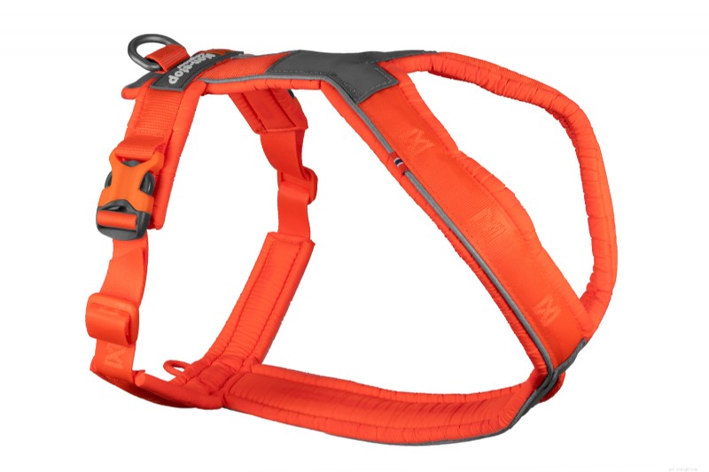 Keeping Your Dog Safe During Hunting Season