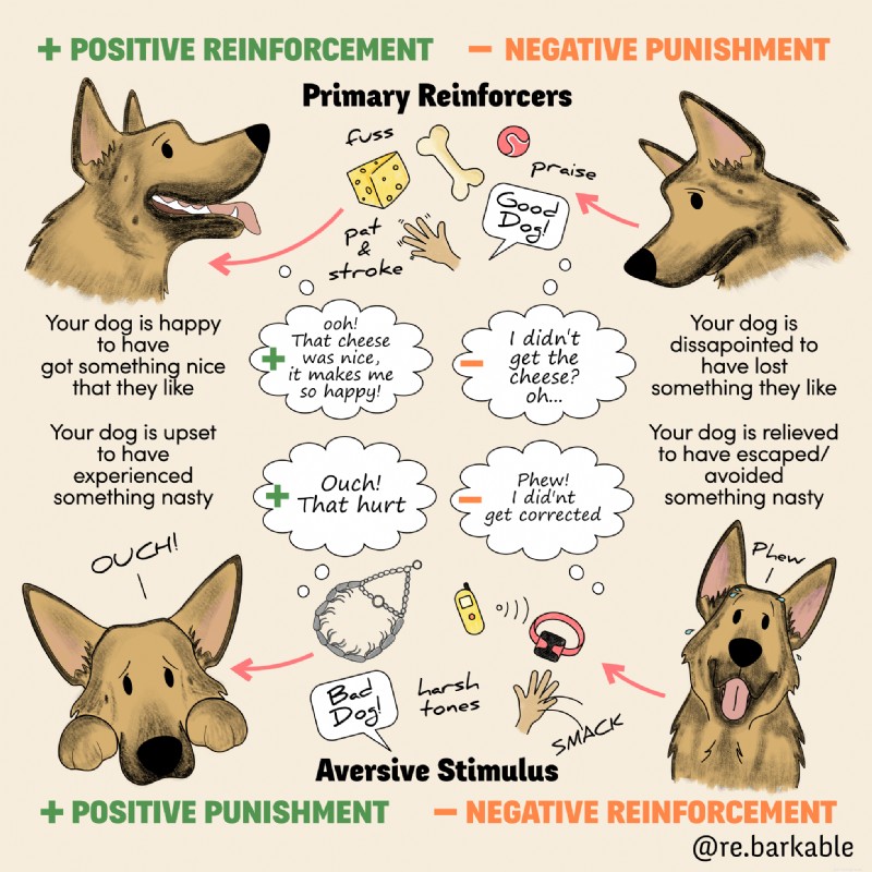 Operant Conditioning in Dog Training: A Complete Guide