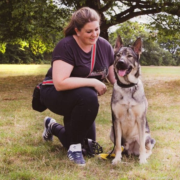 Rebarkable Recommends: Top Tactical Dog Harnesses for Pets