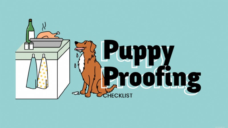 How to Properly Puppy‑Proof Your Home and Yard (2026 Guide)