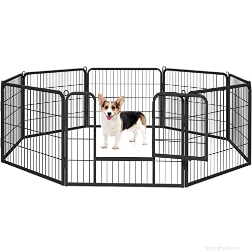 How to Properly Puppy‑Proof Your Home and Yard (2026 Guide)