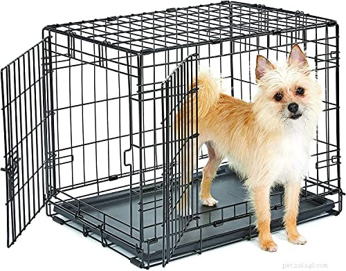 How to Properly Puppy‑Proof Your Home and Yard (2026 Guide)