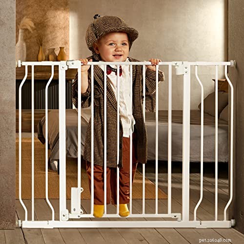 How to Properly Puppy‑Proof Your Home and Yard (2026 Guide)