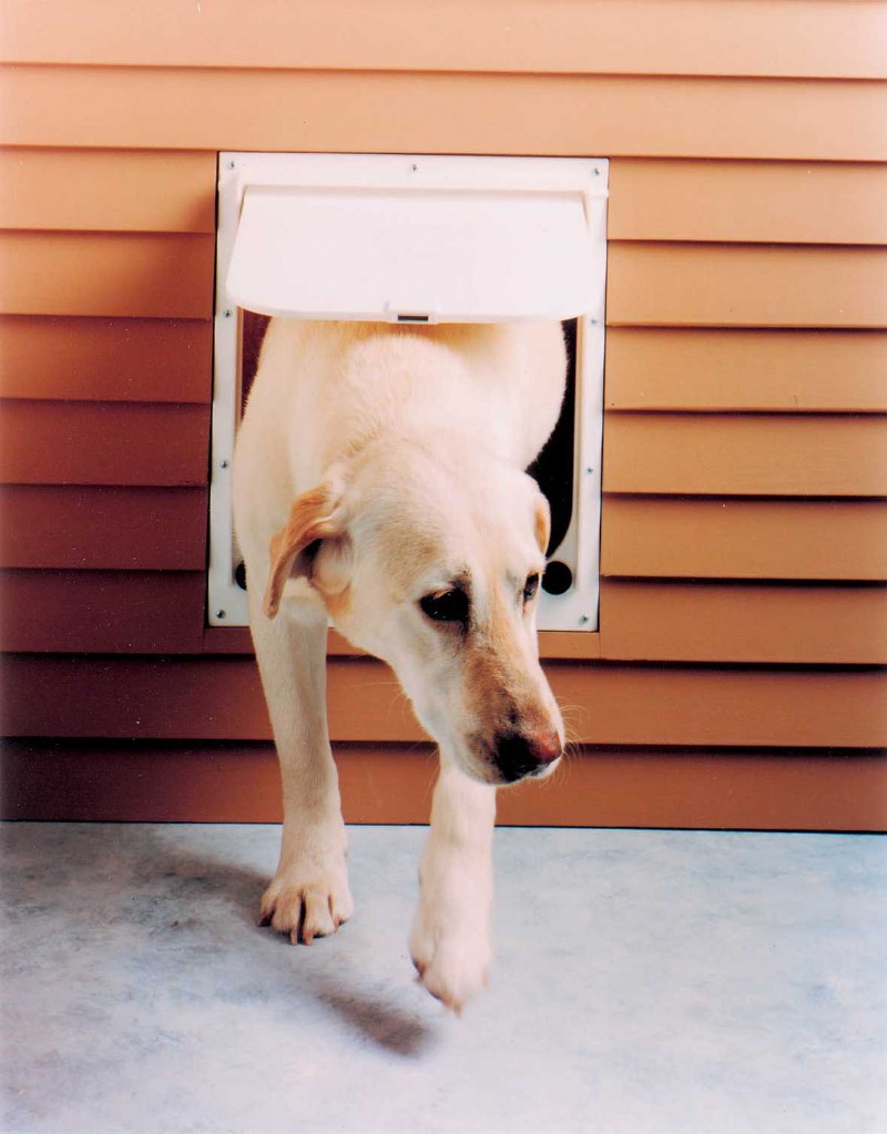 Top Budget Kennel Doors Under $500: Tested Reviews & Buying Guide
