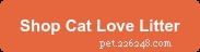 Top 10 Dust‑Free Cat Litters of 2025 for a Clean Home and Healthy Cats