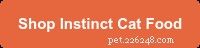 Top Indoor Cat Foods 2025: Best Picks for Healthier, Happier Cats