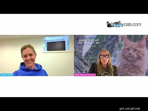 Feline Hyperesthesia Syndrome (Twitchy Cat Disease): A Holistic Healing Guide