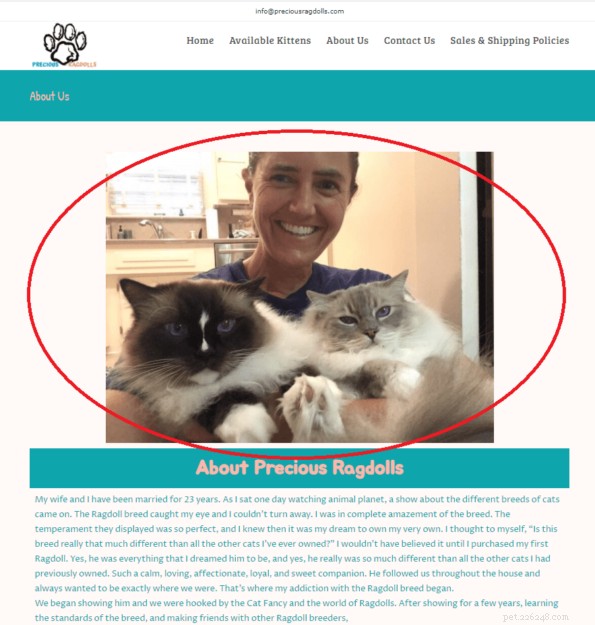 Facebook Pet Scams: How to Spot Fake Cat Listings and What to Do If You’re Victimized