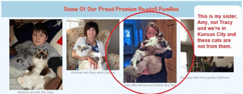 Facebook Pet Scams: How to Spot Fake Cat Listings and What to Do If You’re Victimized