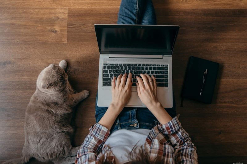 Facebook Pet Scams: How to Spot Fake Cat Listings and What to Do If You’re Victimized
