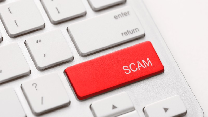 Facebook Pet Scams: How to Spot Fake Cat Listings and What to Do If You’re Victimized