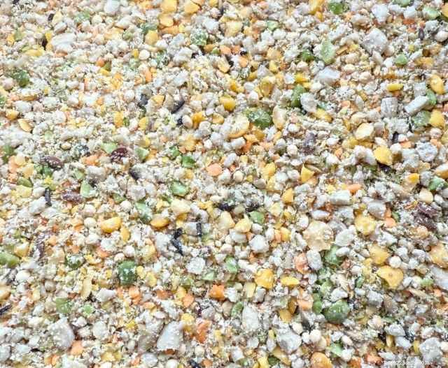 Developing Uro Grit: Reimagining Seeds, Roughage, and Natural Diets for Herbivorous Desert Reptiles