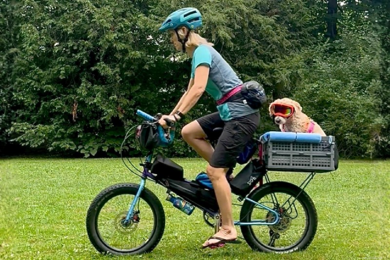 Dr. Krista Halling: Expert Guidance on Dog Mobility, IVDD, and Safe Outdoor Adventures