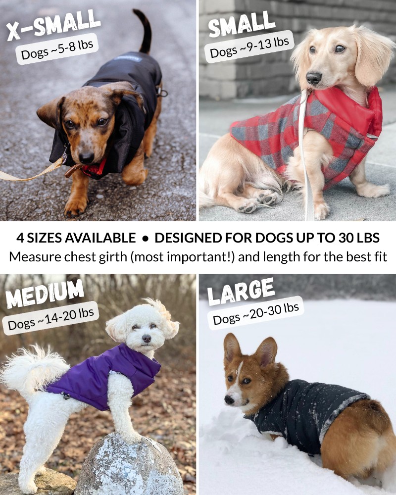 DJANGO Snowline™ Puffer Dog Coat – Warm, Reversible Winter Jacket for Small & Medium Dogs