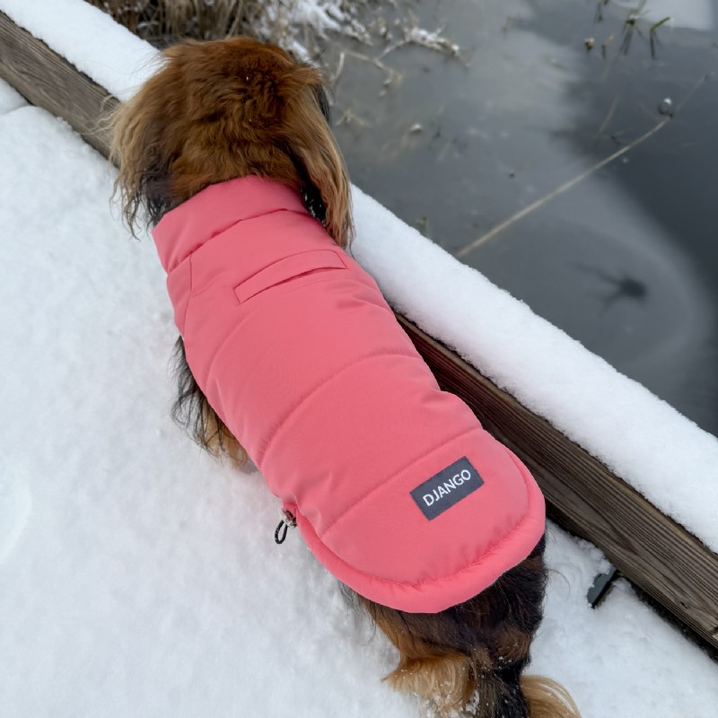 DJANGO Snowline™ Puffer Dog Coat – Warm, Reversible Winter Jacket for Small & Medium Dogs