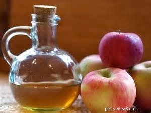 Apple Cider Vinegar: Benefits for Dogs and Cats