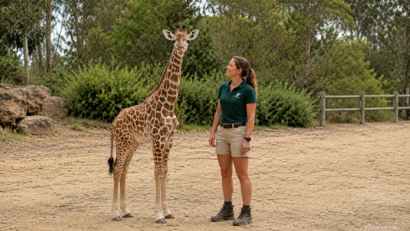 Newborn Giraffes Stand Taller Than Most Adult Men