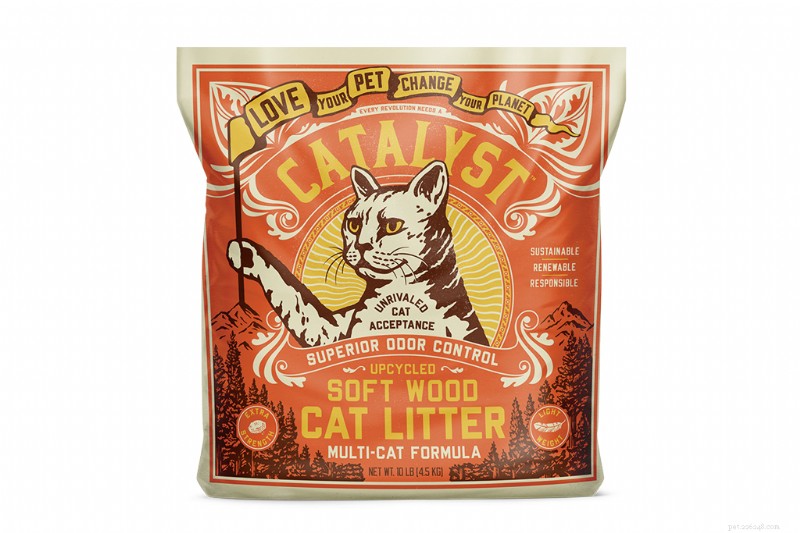 Top Cat Wellness Essentials for a Healthier, Happier Feline