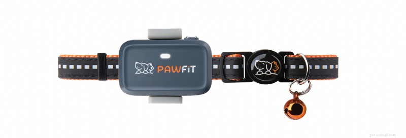 Top Cat Wellness Essentials for a Healthier, Happier Feline
