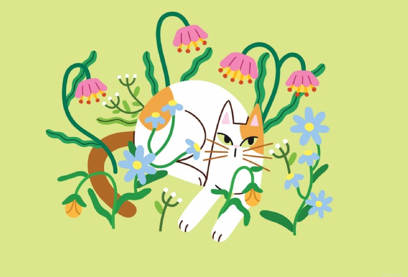 Tiny Cat Stories: Heartwarming Miniature Tales of Cats Who Changed Our Lives