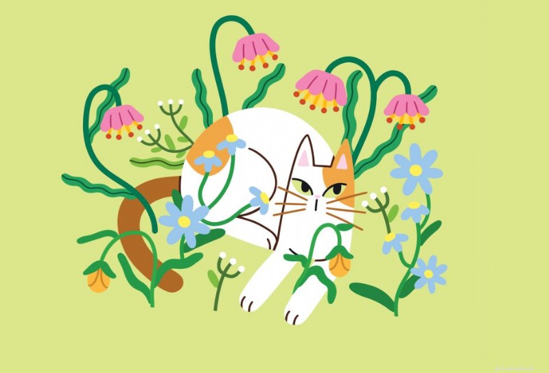 Tiny Cat Stories: Heartwarming Miniature Tales of Cats Who Changed Our Lives