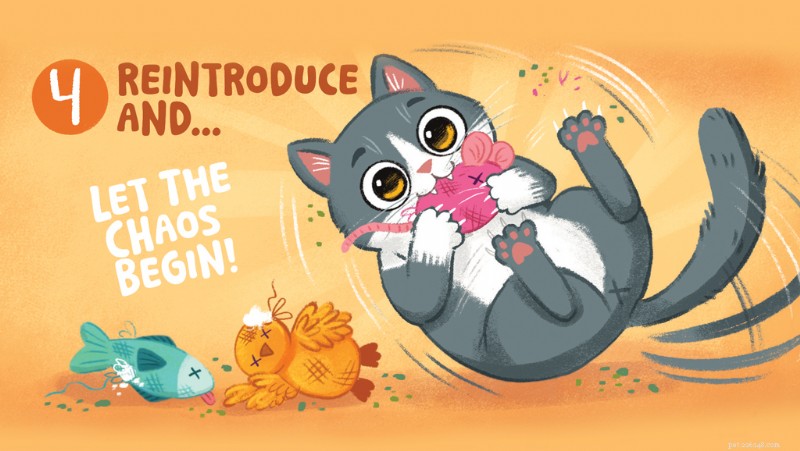 How to Refresh and Renew Catnip Toys – Illustrated Step‑by‑Step Guide