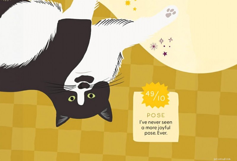 Connie’s Book Club: Spring/Summer 2025 Picks for Cat Lovers