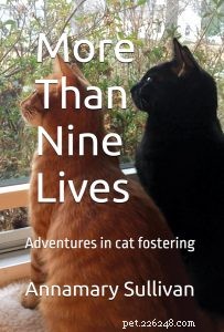 Connie’s Book Club: Spring/Summer 2025 Picks for Cat Lovers