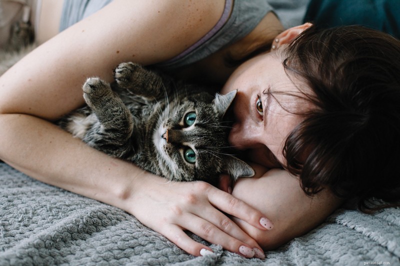 End‑of‑Life Pet Doulas: Supporting You and Your Cat Through Their Final Days