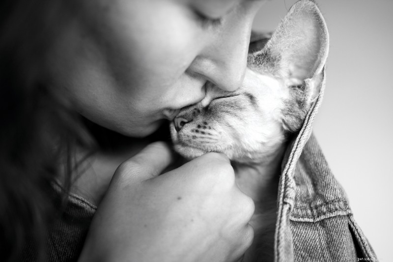 End‑of‑Life Pet Doulas: Supporting You and Your Cat Through Their Final Days
