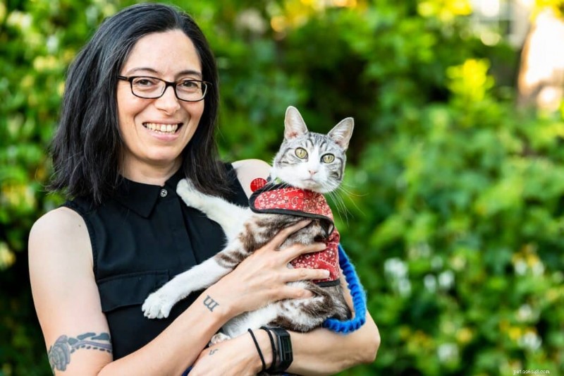 Is Your Cat a Picky Eater? Expert Tips to Encourage Healthy Eating