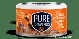 Is Your Cat a Picky Eater? Expert Tips to Encourage Healthy Eating