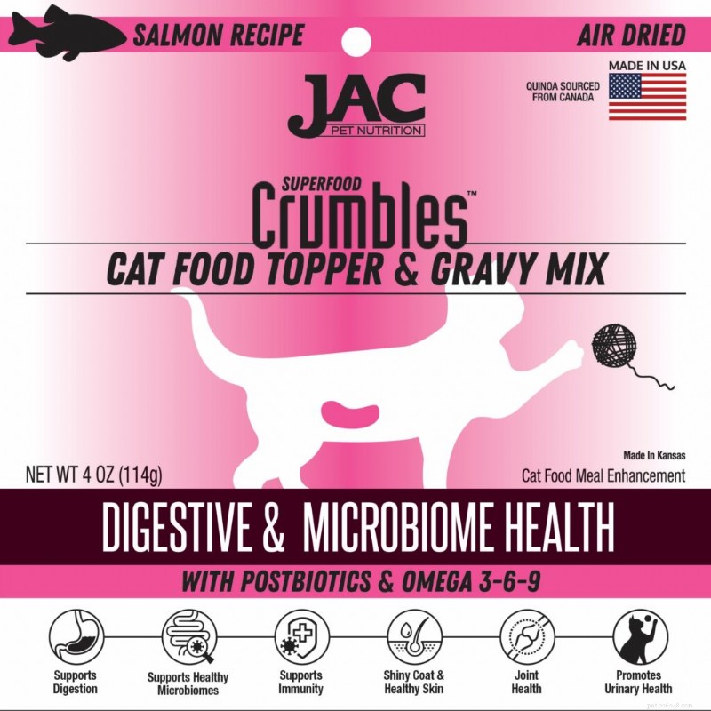 Is Your Cat a Picky Eater? Expert Tips to Encourage Healthy Eating