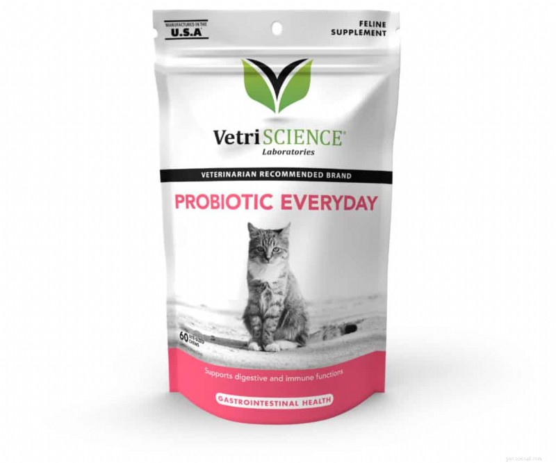 Is Your Cat a Picky Eater? Expert Tips to Encourage Healthy Eating
