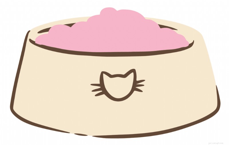 Is Your Cat a Picky Eater? Expert Tips to Encourage Healthy Eating