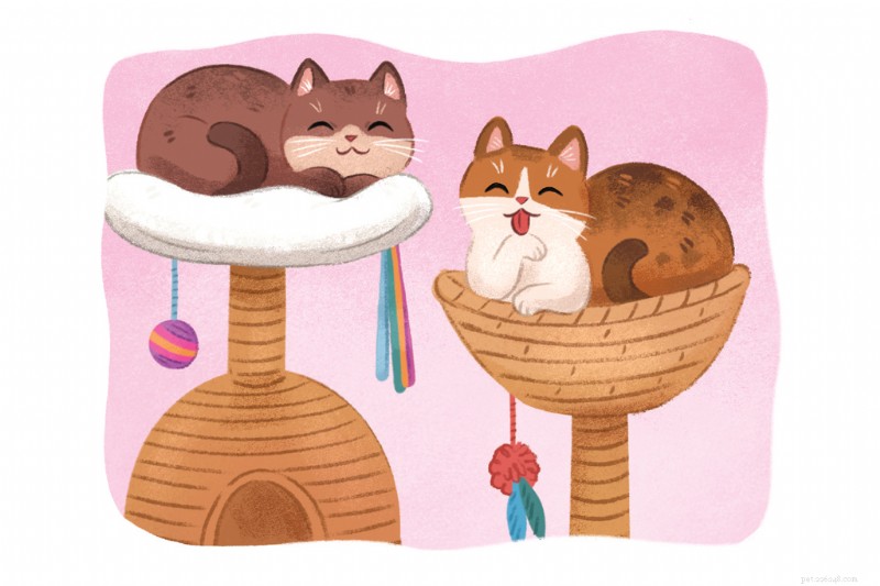 Managing Cat Fights, Aggression, and Stress: A Practical Guide to Harmonious Multi‑Cat Households