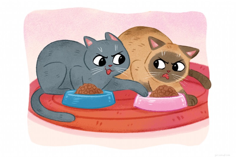 Managing Cat Fights, Aggression, and Stress: A Practical Guide to Harmonious Multi‑Cat Households
