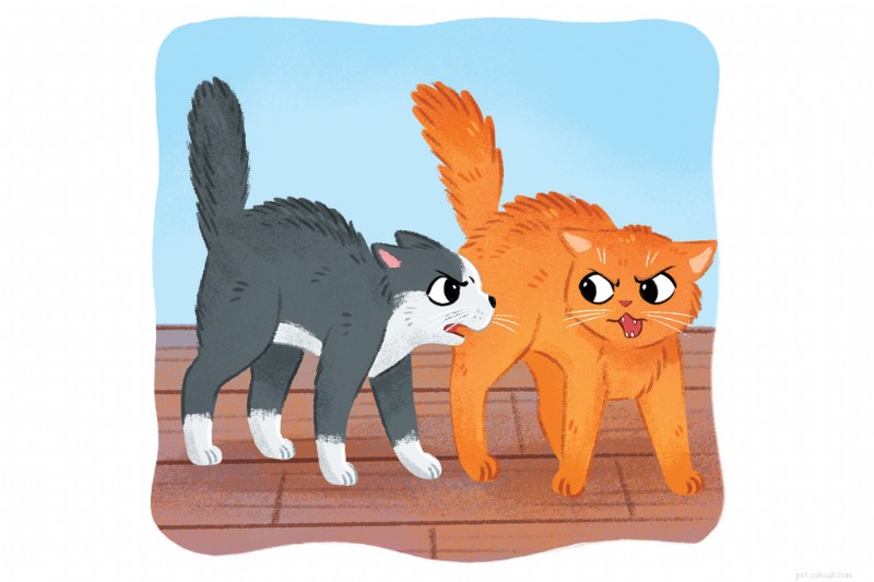 Managing Cat Fights, Aggression, and Stress: A Practical Guide to Harmonious Multi‑Cat Households