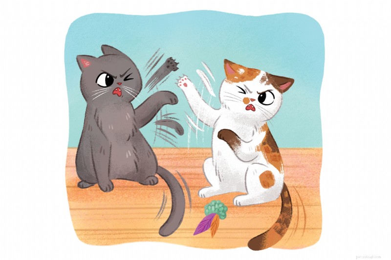 Managing Cat Fights, Aggression, and Stress: A Practical Guide to Harmonious Multi‑Cat Households