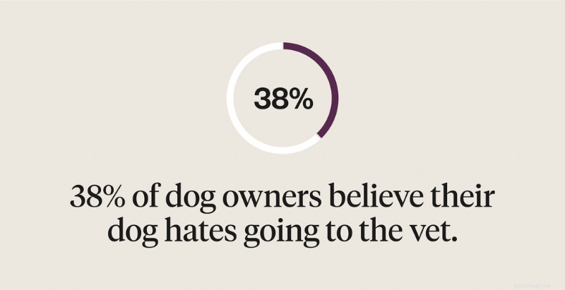 Why Your Dog Fears the Vet and How to Help