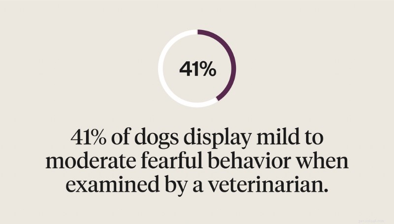Why Your Dog Fears the Vet and How to Help