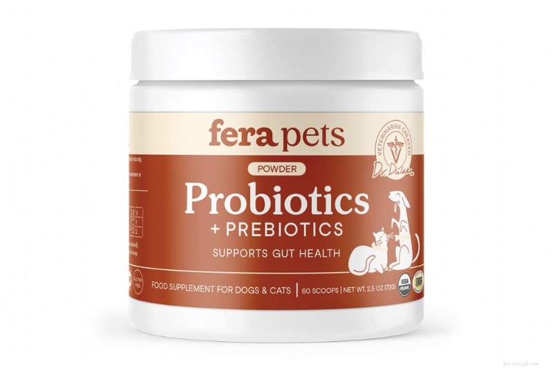 Modern Dog s Top 13 Wellness Products for a Healthier, Happier Pup