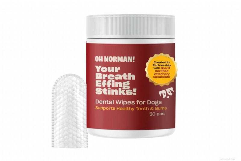 Modern Dog s Top 13 Wellness Products for a Healthier, Happier Pup