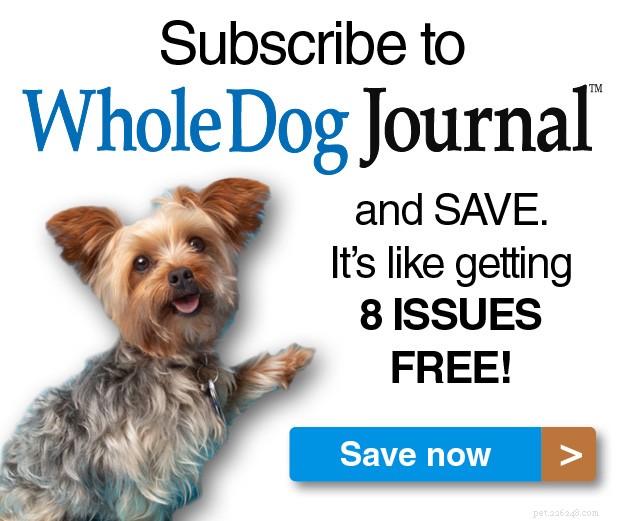 How Dogs Communicate With One Another